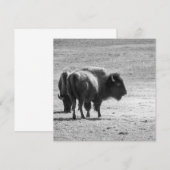 The Mighty Buffalo Bedankkaart (Voorkant / Achterkant)