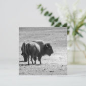 The Mighty Buffalo Bedankkaart (Staand voorkant)