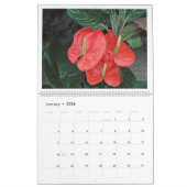 "THE MIRACLE OF FLOWERS" KALENDER 12 MAANDEN 2026 (Jan 2026)