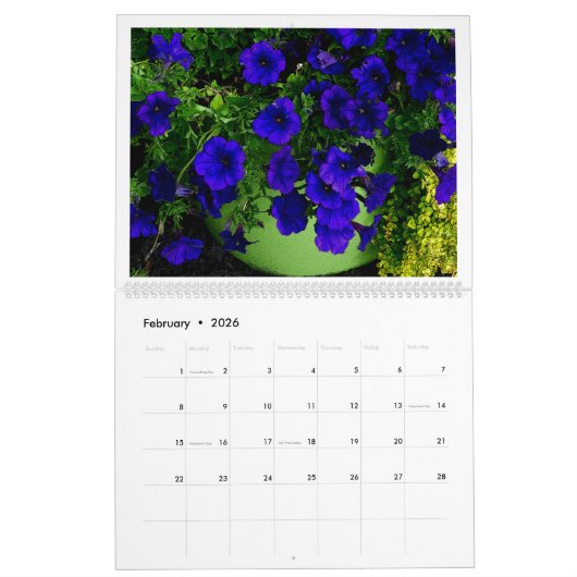 "THE MIRACLE OF FLOWERS" KALENDER 12 MAANDEN 2026 (Feb 2026)