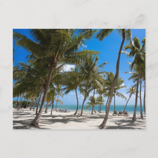 The Moorings Resort, Marathon, Key West, 2 Briefkaart (Voorkant)