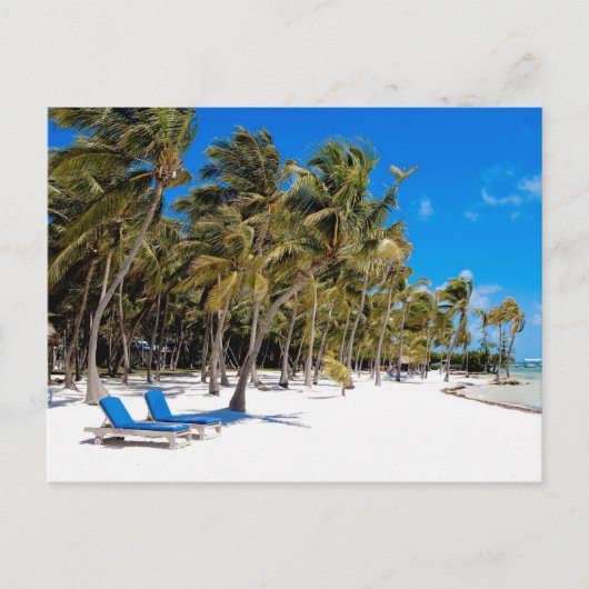 The Moorings Resort, Marathon, Key West, 3 Briefkaart (Voorkant)