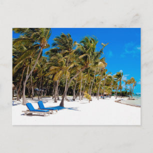 The Moorings Resort, Marathon, Key West, 3 Briefkaart