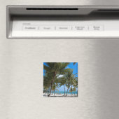The Moorings Resort, Marathon, Key West, Magneet (Insitu (Vaatwasser))
