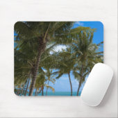 The Moorings Resort, Marathon, Key West, Muismat (Met muis)