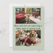 The More The Merrier Baby Aankondiging Kerst C (Achterkant)