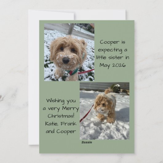 The More The Merrier Christmas Photo Card Feestdagenkaart (Achterkant)