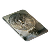 The Mouth of Truth (foto) Magneet (Rechterzijde)