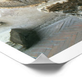 The Mouth of Truth (foto) Poster (Hoek)