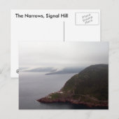 The Narrows, Signal Hill Briefkaart (Voorkant / Achterkant)
