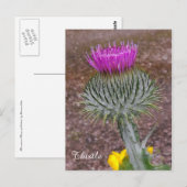 The National Flower of Scotland. Briefkaart (Voorkant / Achterkant)