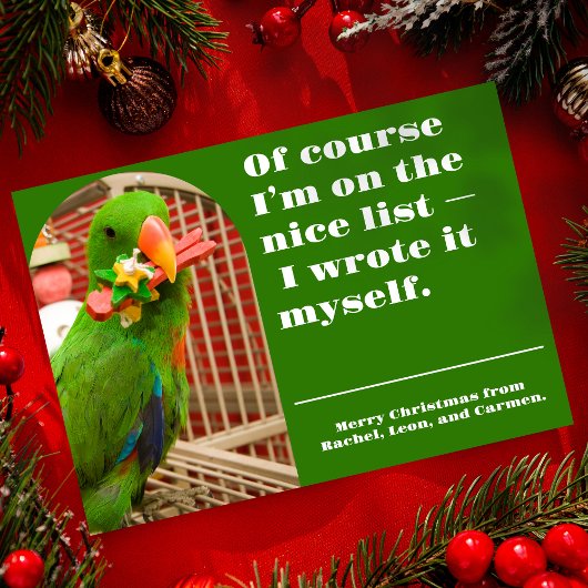 The Nice List Funny Parrot Christmas Photo Card Feestdagenkaart