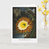 The Night Blowing Cereus — Modern Botanical Reinte Kaart (Gele Bloem)