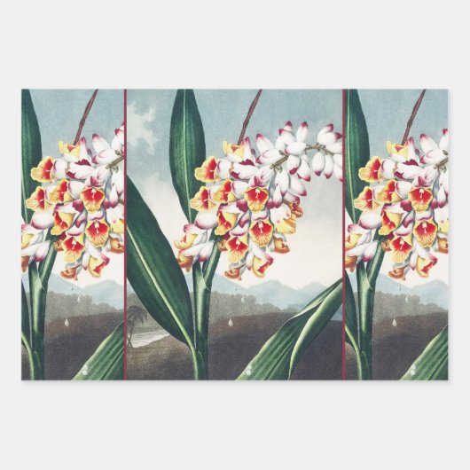 The Nodding Renealmia from The Temple of Flora Art Inpakpapier Vel (Voorkant)