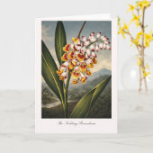 The Nodding Renealmia — Modern Botanical Reinterpr Kaart (Gele Bloem)