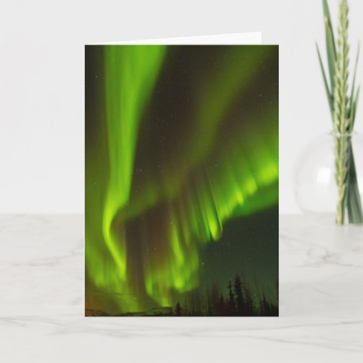 The Northern Lights | Fairbanks, Alaska Kaart (Voorkant)