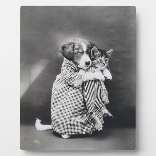 The Nurse Puppy Kitten Harry Whittier Frees 1914 Fotoplaat (Voorkant)
