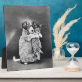 The Nurse Puppy Kitten Harry Whittier Frees 1914 Fotoplaat (Zijkant)