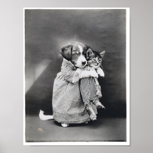 The Nurse Puppy Kitten Harry Whittier Frees 1914 Poster (Voorkant)