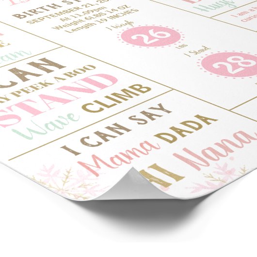 The Nutcracker 1st Birthday Milestone Birth Stats  Poster (Hoek)