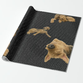 The Obstinate Airedale Wrapping Paper Cadeaupapier