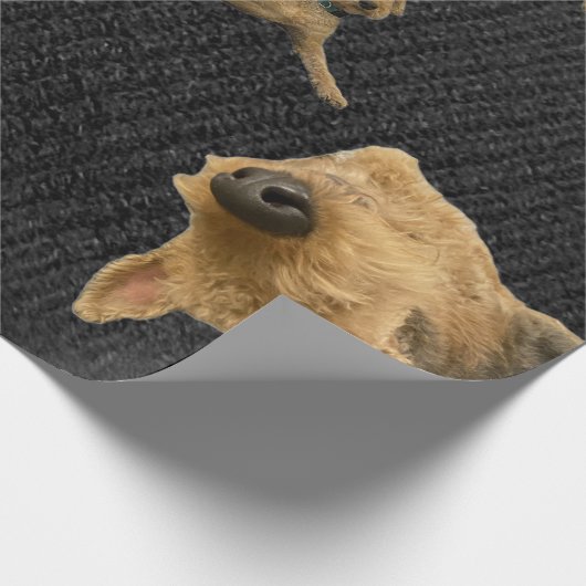The Obstinate Airedale Wrapping Paper Cadeaupapier (Hoek)