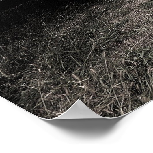 The ODSS Team Poster (Hoek)