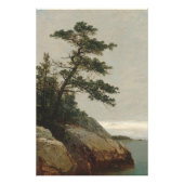 The Old Pine, Darien, Connecticut | Kensett Foto Afdruk (Voorkant)