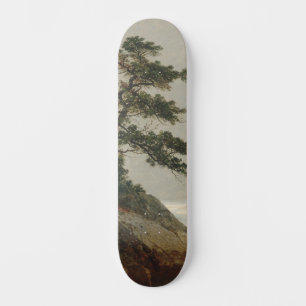 The Old Pine, Darien, Connecticut   Kensett Persoonlijk Skateboard
