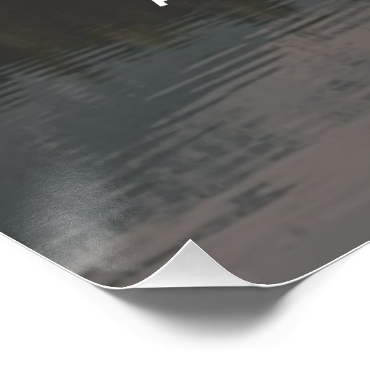 The Old Poster (Hoek)