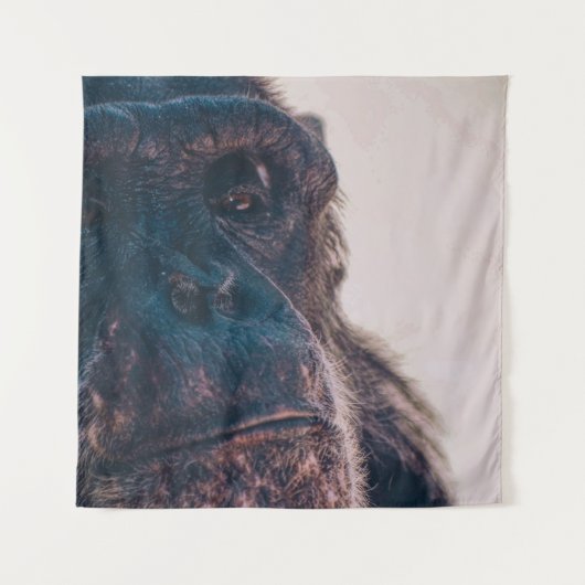 THE OLDEST CHIMPANZEE WANDKLEED (Voorkant)