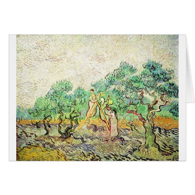 The Olive Orchard - Vincent Van Gogh (1889) (Voorkant Horizontaal)
