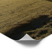 The Orb of Life Stunning Sunrise Landscape Print (Hoek)