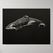 The Orca Poster (Voorkant)