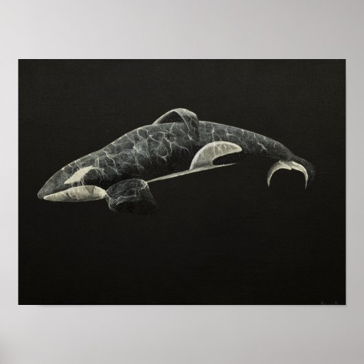 The Orca Poster (Voorkant)