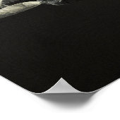 The Orca Poster (Hoek)