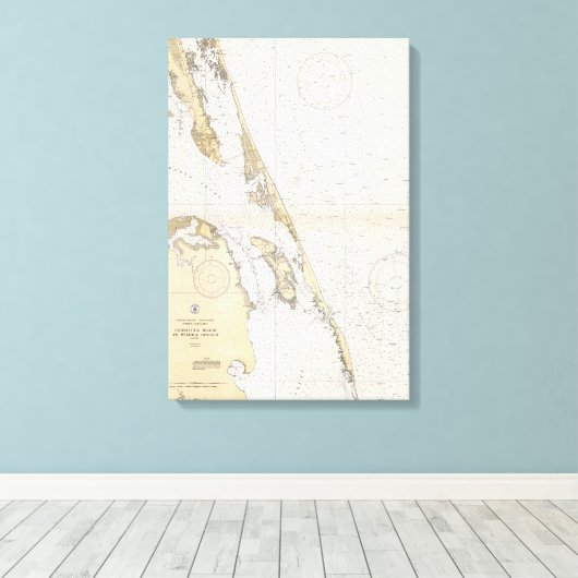 The Outer Banks of North Carolina Canvas Afdruk (Insitu (Houten vloer))