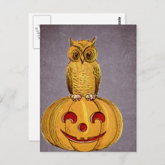 The Owl and the Jack O Lantern Briefkaart (Voorkant / Achterkant)