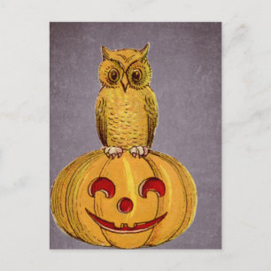 The Owl and the Jack O Lantern Briefkaart