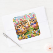 The owl sticker sheet (Envelop)