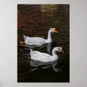 The Pair Poster (Voorkant)