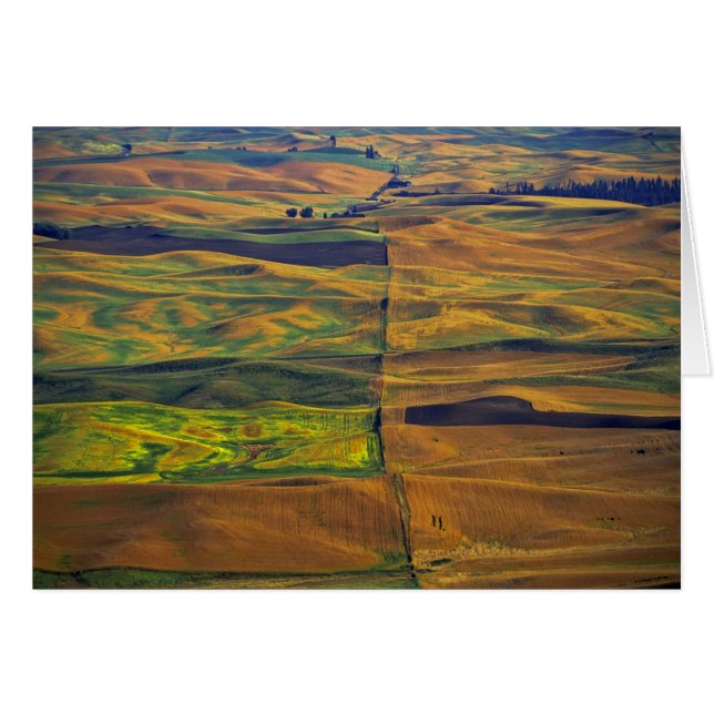 The Palouse vanuit Steptoe Butte, Colfax, (Voorkant Horizontaal)