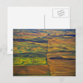 The Palouse vanuit Steptoe Butte, Colfax, Briefkaart (Voorkant / Achterkant)