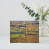The Palouse vanuit Steptoe Butte, Colfax, Briefkaart (Staand voorkant)