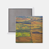 The Palouse vanuit Steptoe Butte, Colfax, Magneet (Voorkant / Achterkant)