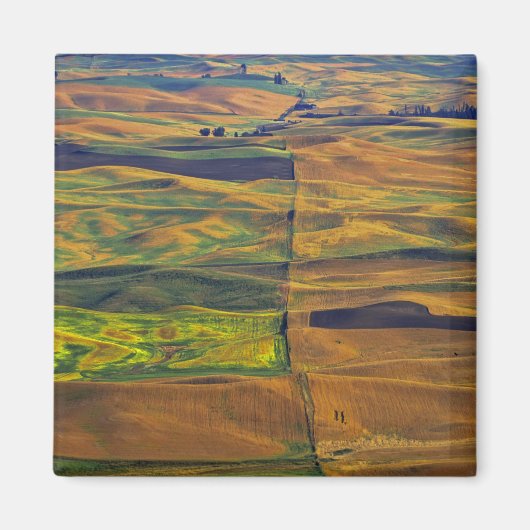 The Palouse vanuit Steptoe Butte, Colfax, Magneet (Voorkant)
