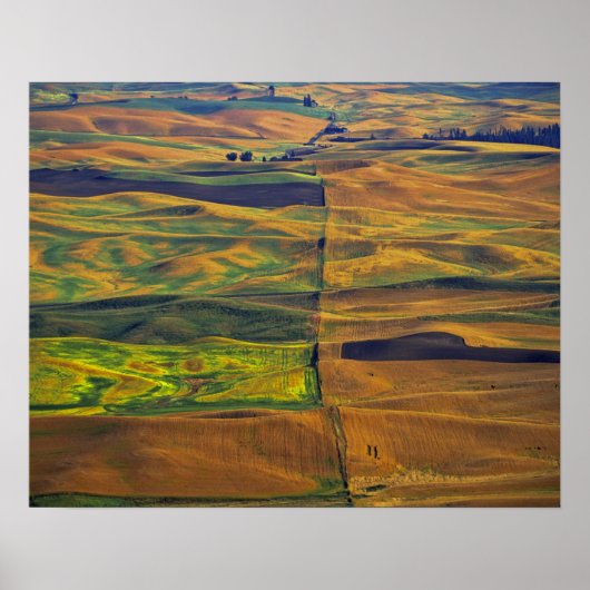 The Palouse vanuit Steptoe Butte, Colfax, Poster (Voorkant)