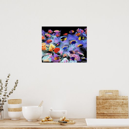 The Paradise of Centropyge Poster (Keuken)