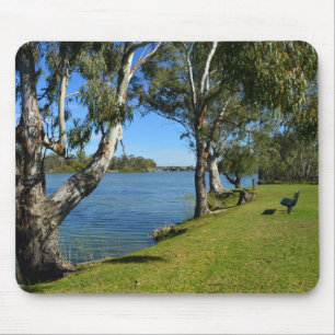 The Park Bench, Berri, South Australia, Muismat