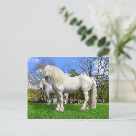 "The Percherons" Briefkaart (Staand voorkant)